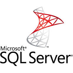 Microsoft SQL Server developer